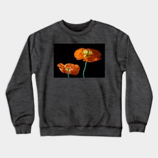 Orange And Black Crewneck Sweatshirt